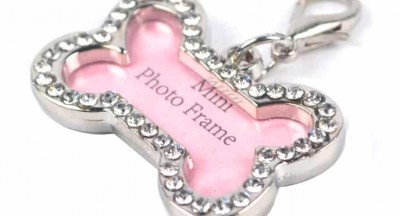 Những điều cần biết khi khắc thông tin lên bảng tên chó mèo