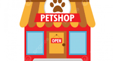 Chính sách tuyển dụng