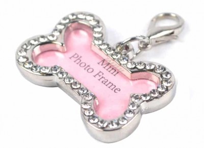 Những điều cần biết khi khắc thông tin lên bảng tên chó mèo