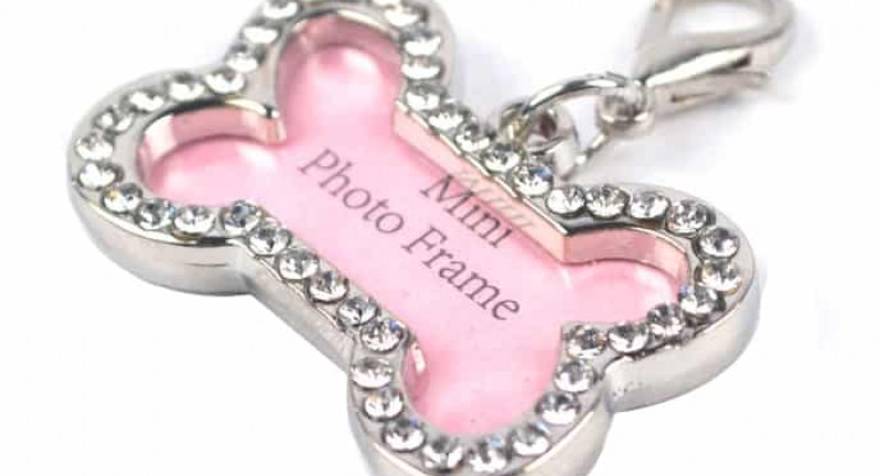 Những điều cần biết khi khắc thông tin lên bảng tên chó mèo