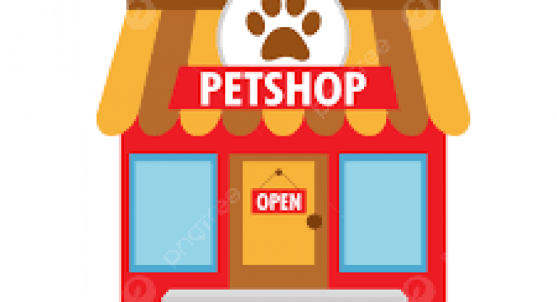 Chính sách tuyển dụng