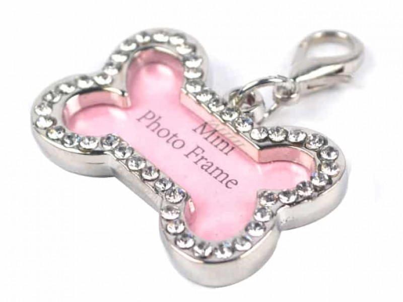 Những điều cần biết khi khắc thông tin lên bảng tên chó mèo