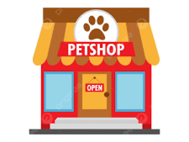 Chính sách tuyển dụng