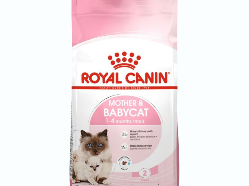 Thức ăn hạt khô Royal Canin